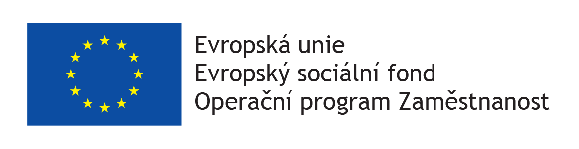 Evropský sociální fond Operační program Zaměstnanost